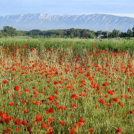 Le Deffend Vieux Bed & Breakfast Trets Dış mekan fotoğraf