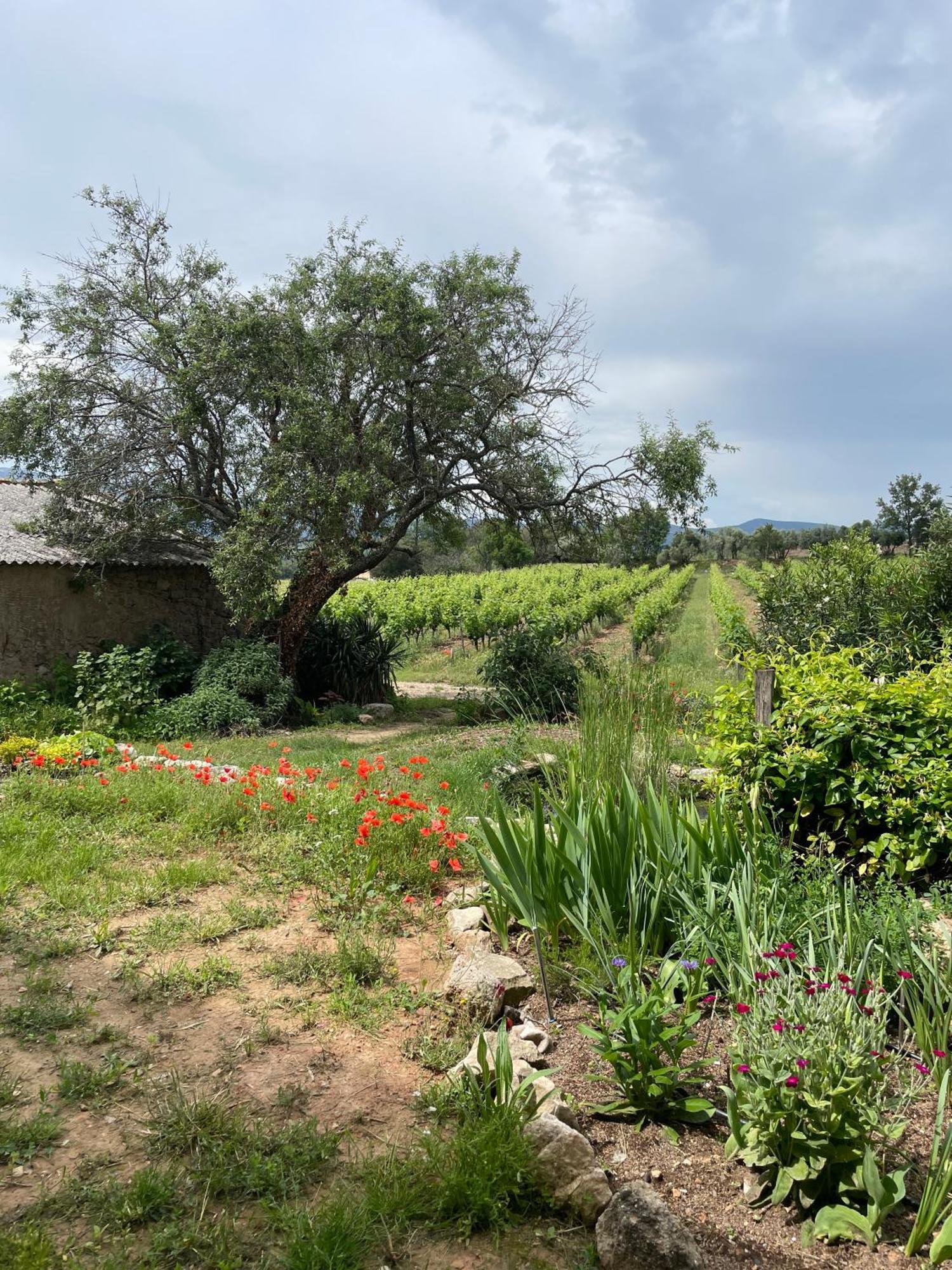 Le Deffend Vieux Bed & Breakfast Trets Dış mekan fotoğraf