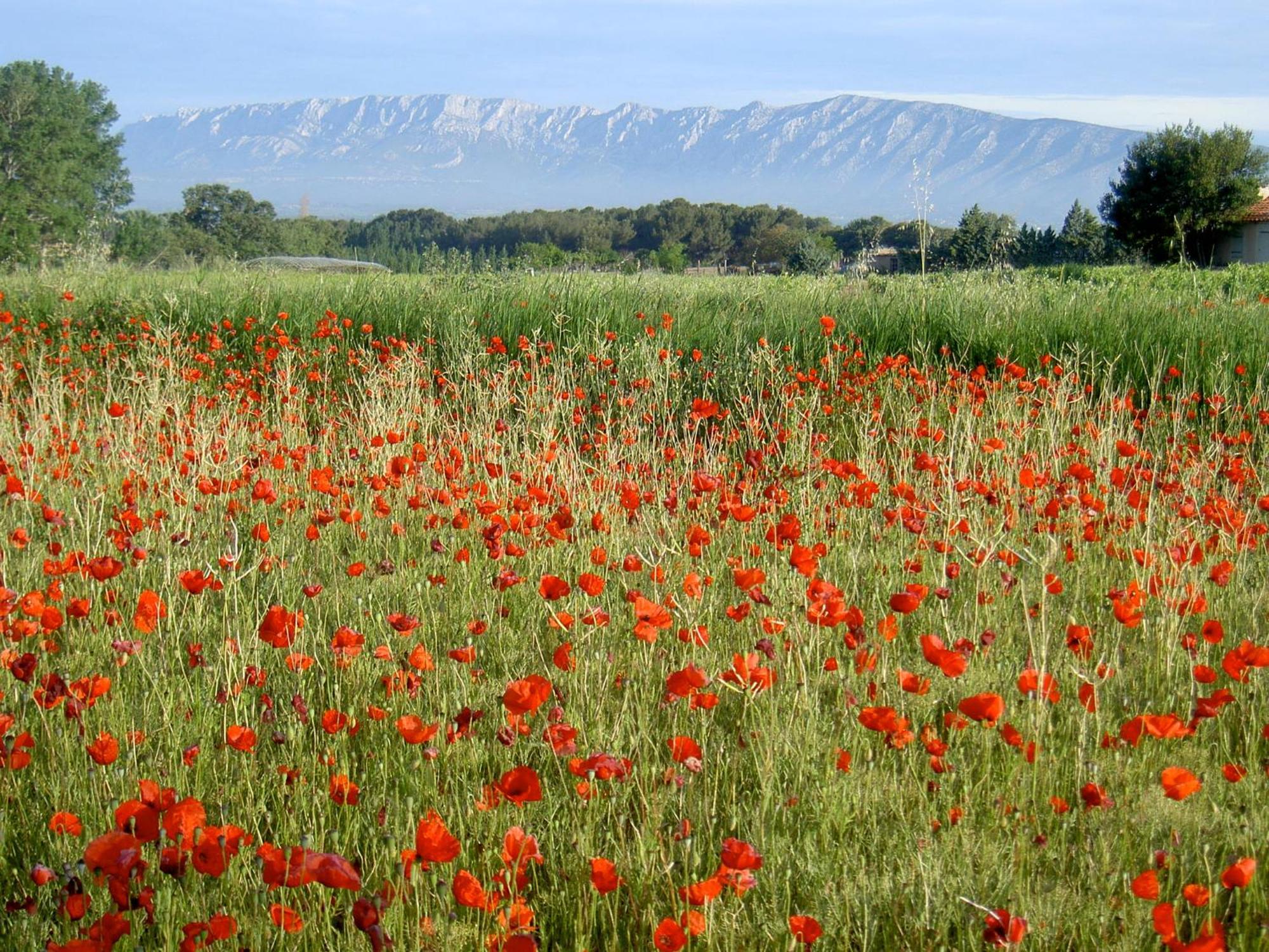 Le Deffend Vieux Bed & Breakfast Trets Dış mekan fotoğraf